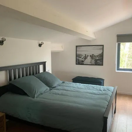 Magnifique Villa Classee 4* Meuble De Tourisme Flassans-sur-Issole Exterior foto